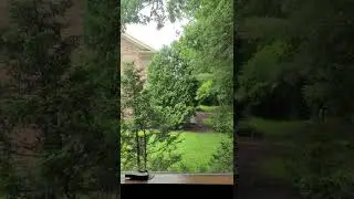Deafening sound of Brood X cicadas from inside with all windows shut!