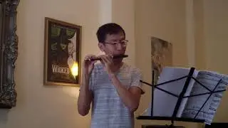 Ravel- Concerto for Piano and Orchestra Mvt. I (Piccolo Excerpt)