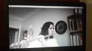 Online Flüt Dersi