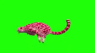 Leopard Run Green Screen Video Footage Free 
