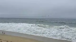 Calm Sleep Beach White Noise