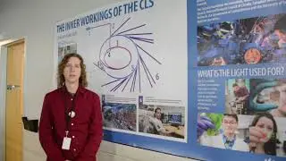 TREE Video 7: Part 2 CLS