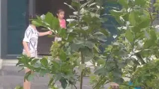 ss