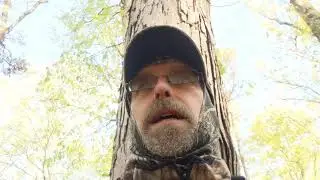 Bushcraft for Beginners Ep. 3 location, location, location.