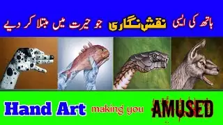 Hands Art that will amus you./ ہاتھوں کی ایسی نقش نگاری جو آپ کو حیران کر دے
