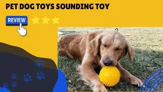 Pet Dog Toys Sounding Toy | Dogizz | Free Worldwide Delivery