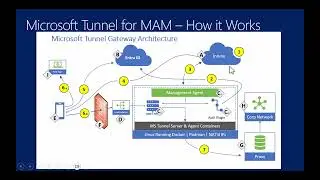Intune   Intune Suite   Microsoft Tunnel for MAM