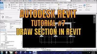 How to cut Section in Revit tutorial