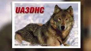 UA3DHC Александр Волк