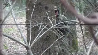 SNIPER - Take Out The COUPLE