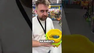 Выращиваем травянчика!  