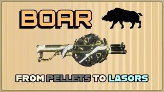 WARFRAME | BOAR PRIME BUILD GUIDE! 2024 BUILD