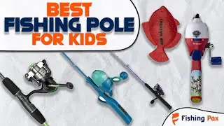 Best Kids Fishing Poles (What To Look For)