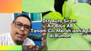 Cara Mudah Tanam Cili Merah | DIY Sistem Auto Siram Air Baja AB | Teknik Tanam Di Rumah