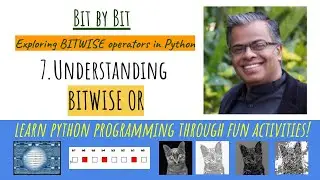7. Bit by Bit - What is bitwise OR operator in Python?