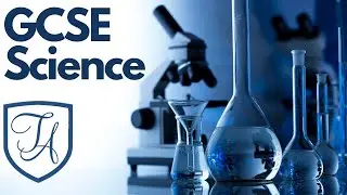 Year 8 &9  Options Evening - GCSE Sciences