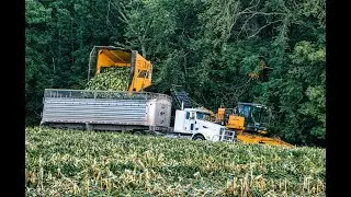 Corn processing at the enterprise 4K( Переработка кукурузы на предприятии 4К)