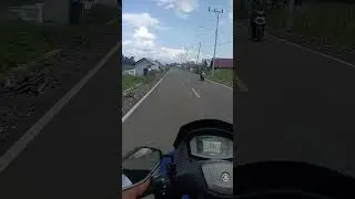 suasana perkampungan di aliran sungai tapin kalimantan selatan