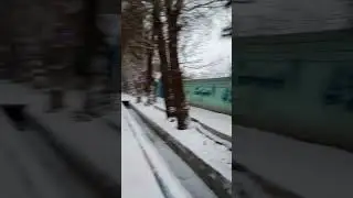 بارش برف هفت اسفند ۱۴۰۲ تهران