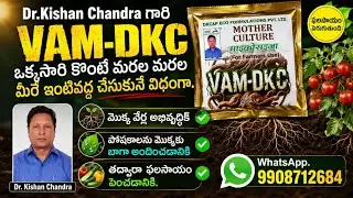 243. VAM లిక్విడ్ రూపం లో తయారుచేయడం ఎలా? VAM -DKC  how to prepare and how to use VAM - DKC.