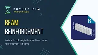 Beam Reinforcement