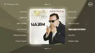 Nazim Faytonçu — Ağlamağım Da Gəlmir (Rəsmi Audio)