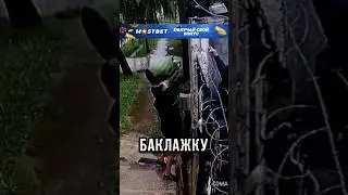 🫠ТУПЕЙ МУЖИКОВ ВЫ НЕ ВИДЕЛИ!