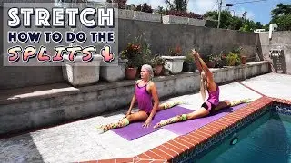 How to Do the Splits | Flexibility Stretches for Tight Hips & Hamstrings