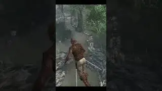 Assassin is hunted - Assassins Creed Black Flag