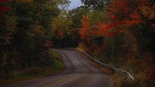 POV: You're driving to church with Autumn vibes |The Autumn playlist you need (ambiences included)