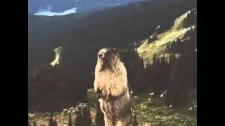 The Screaming Marmot - Burp Remix