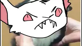 please dont touch lykaois ft. hands (SHITPOST)