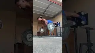GHD Hip Extension Hold with Barbell Row 