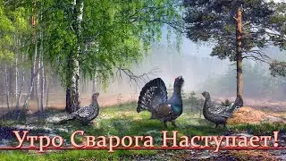 Говорящий Правду - враг всех фанатиков. Раввин об авраамических религиях России