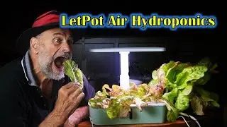 Win a FREE LetPot Air Hydroponic system + Product Review
