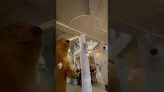 Ayiqlar uyda naxorda uynashi mishka