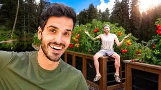 Harvesting our Homestead (you'll be shocked by this off grid garden)