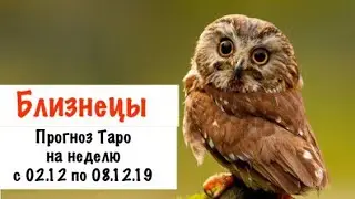 Близнецы _ гороскоп таро на неделю с 02.12 по 08.12.19 _ Таро прогноз