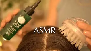 [ASMR] Sleep Immediately Within Minutes 💤 Scalp Massage With Scalp Serum | No Talking