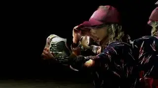 Homenagem - Luiza Lian (Visualizer)