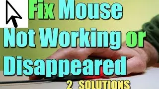 Error MOUSE CURSOR Disappears on Windows 10/8/7 I 2 SOLUTIONS 2023
