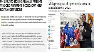 C'è qualcosa che non va