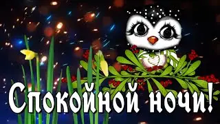 СПОКОЙНОЙ НОЧИ! СЛАДКИХ СНОВ!