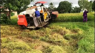 Modern Technology AgricultureEquipment - Awesome Rice Harvester