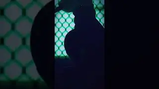 фоны для видео тт