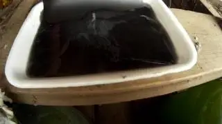 серебро с рентгенпленки