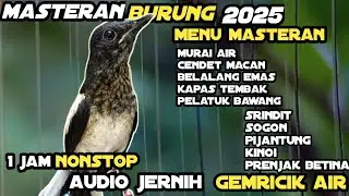 Masteran Audio Jernih Dengan Terapi Air 1 Jam Nonstop || Kumpulan Masteran Paling Dicari Kicau Mania