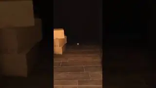 Doors Floor 0