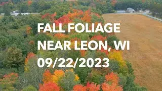 Fall Foliage Near Leon, WI