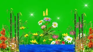 Green Screen Video full HD Green Screen effect Green Screen Love Green Screen